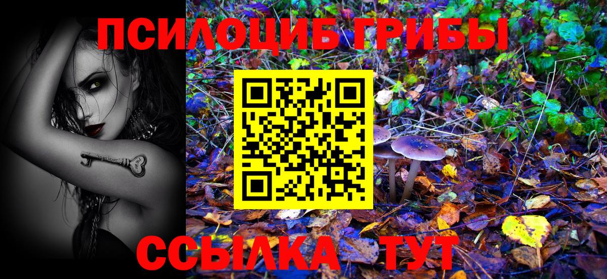 Галлюциногенные грибы Magic Shrooms Братск